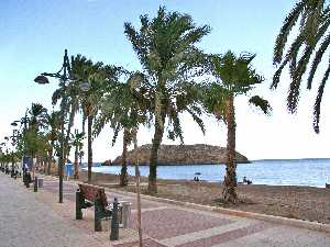 MAZARRON2005 (13)