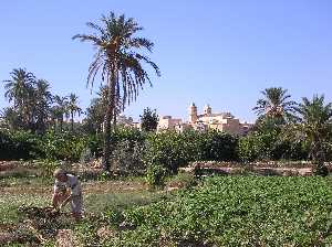 El Jardn de las Monjas de Villanueva del Ro Segura 