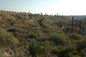 Paisaje semidesertico tpico de Abanilla 