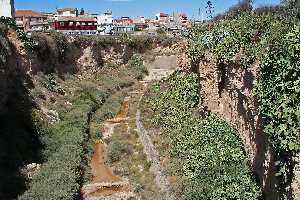 Barranco con chumberas