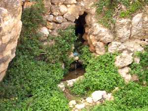 Molino del Berro[Alhama de Murcia]