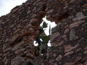 Detalle de un Vano [Torre del Moro]