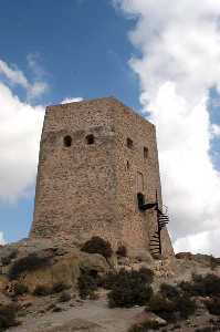 Torre de la Azoh�a (Mazarr�n) [Torre de la Azoh�a] 