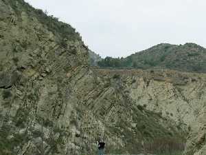 Calcarenitas estratificadas del Puerto del Garruchal (Murcia) 