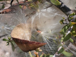 Puerto de Mazarr�n