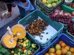 Venta de dtil fresco a partir de noviembre en el mercado 