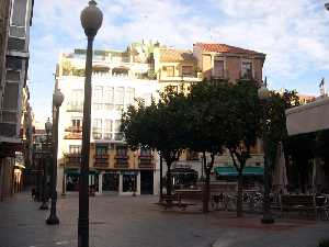 rboles de la Plaza 