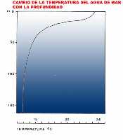 Figura 2. Representacin grfica del cambio de temperatura con la profundidad. Perfil trmico propio del verano en aguas del Mediterrneo
