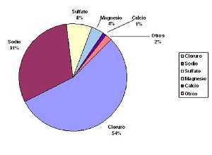 Grfico 1. Representacin grfica de los elementos qumicos principales disueltos en el agua del mar y sus porcentajes 