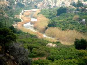 Vista del Ro Segura a su paso por el municipio de Ojs