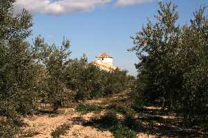 Casa y finca 