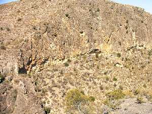 Cueva de Las Enredaderas en Cieza 