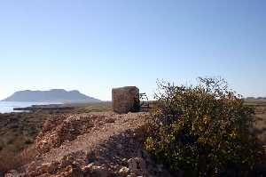 Vista de Lejos 