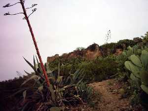 Alrededor del Castillo 