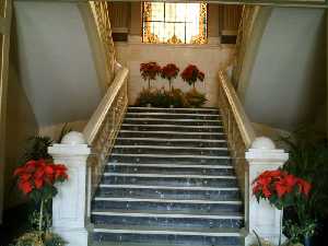 Escalera 