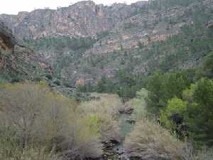 El Ro Segura por el Can de Almadenes