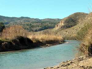 El ro Segura en el paraje de la Hoya Garca. 