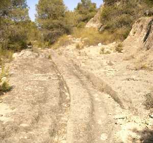 Calzada Utilizada para Transportar la Piedra[Cantera de Solana de la Pedrera Jumilla]