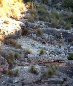 Detalle de la Calzada