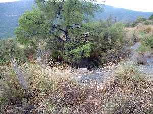 Paraje de la Cueva 