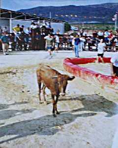 Vaquilla en las Fiestas de La Paca 