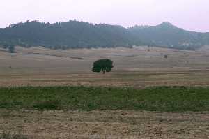 Paisaje de Zarcilla de Ramos [Zarcilla de Ramos_Lorca]