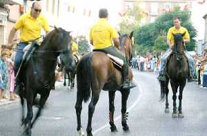 Caballos de las Carrozas de las Fiestas de 2005 