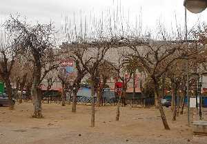 Jardn de San Esteban en Murcia.