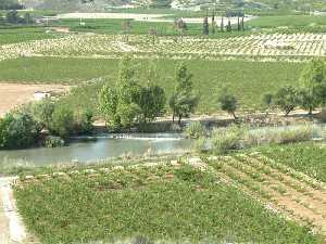 El ro Segura a su paso por Cieza