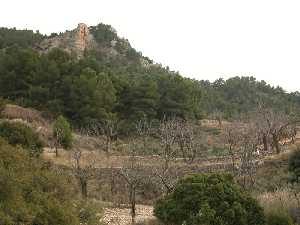 Paisaje del Parque de la S. de la Pila. Entre el pinar, algunas tierras de cultivos tradicionales de secano.