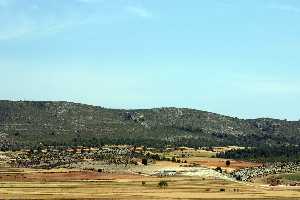 Panormica de El Sabinar 