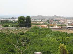 Vista desde el cabezo de Vista Alegre 