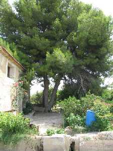 Desde Ceut a Los Torraos por las sendas de la huerta-casa de los molineros