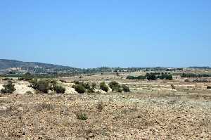 Vista del Ramblal de las Higueras 