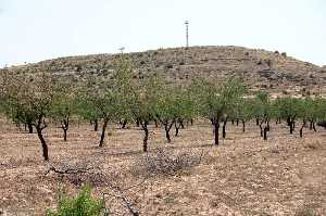 Almendros 