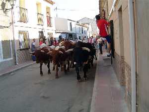 Fiestas de El Sabinar 