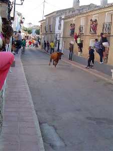 Corridas  de Toros 