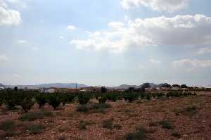 Panormica de la Alquera 