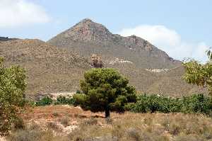 Vista Panormica del Paraje Los Alamicos 