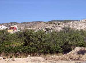 Almendros de La Garapacha (Fortuna) 