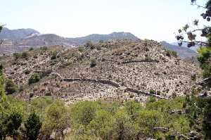 Vistas de La Garapacha 