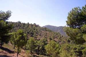 Sierra de La Pila 