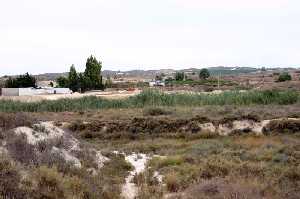 Paraje de Rambla Salada 