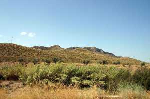 Paraje del Montej y Rambla de Pastrana 