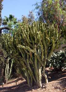 Paraje Rambla de la Marquesa 