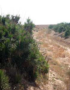 Paraje Rambla de la Marquesa [Jimenado]