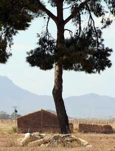 Yacimiento de la Calzada Romana 