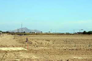 Vista del Yacimiento de la Calzada Romana 