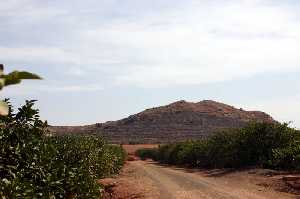 Cabezo de Roche con Cultivos de Limones 