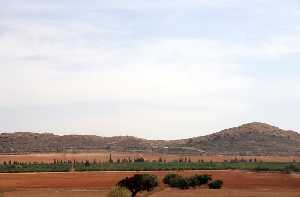 Vista de Cabezo de Roche 